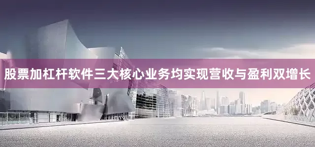 股票加杠杆软件三大核心业务均实现营收与盈利双增长